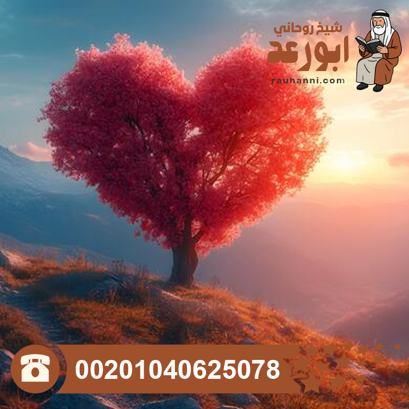 شيخ لجلب الحبيب، شيخ مصري لجلب الحبيب، جلب الحبيب واتساب